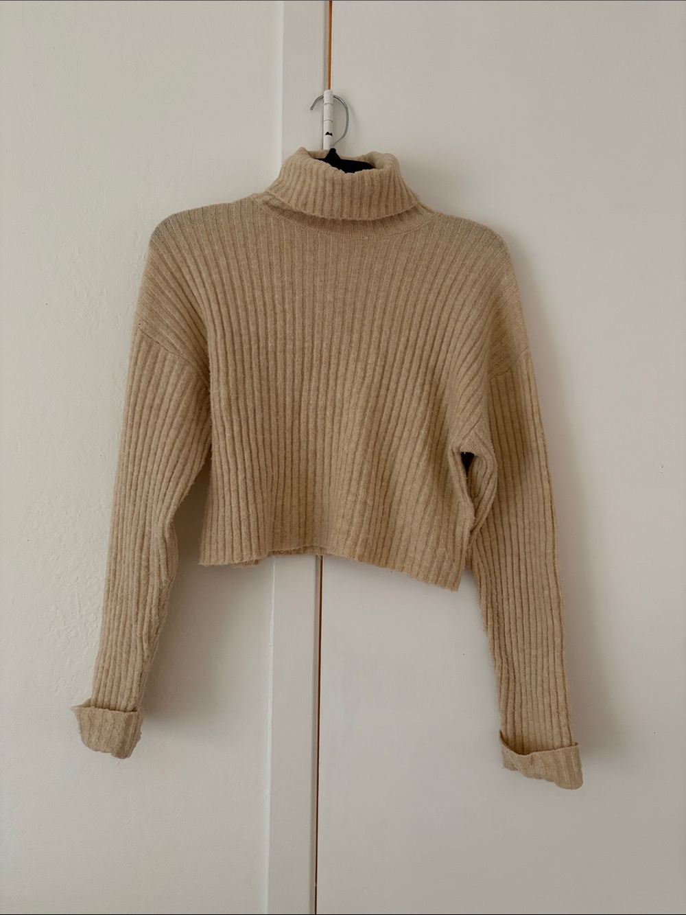 Zara Ribbed Cropped Turtleneck Sweater - Beige